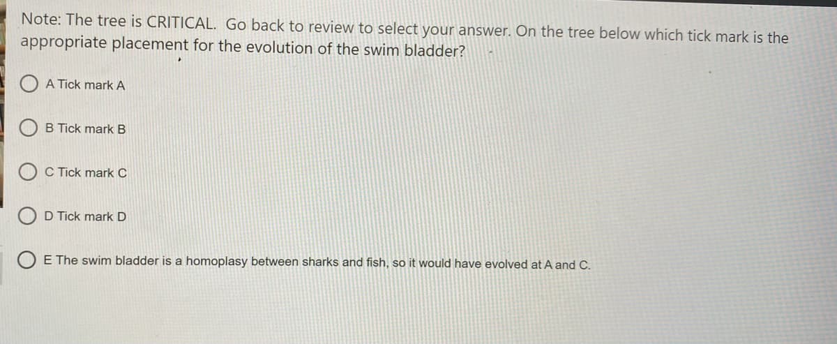 Note: The tree is CRITICAL. Go back to review to select your answer. On the tree below which tick mark is the
appropriate placement for the evolution of the swim bladder?
A Tick mark A
B Tick mark B
O C Tick mark C
O D Tick mark D
O E The swim bladder is a homoplasy between sharks and fish, so it would have evolved at A and C.
