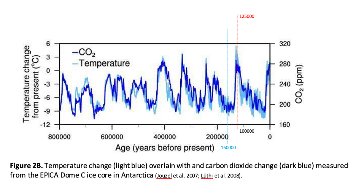 125000
-CO₂
-Temperature
I m m W W W
-12
800000
600000
400000
200000
320
280
240
200
160
100000
CO2 (ppm)
Age (years before present) 160000
Figure 2B. Temperature change (light blue) overlain with and carbon dioxide change (dark blue) measured
from the EPICA Dome Cice core in Antarctica (Jouzel et al. 2007; Lüthi et al. 2008).
