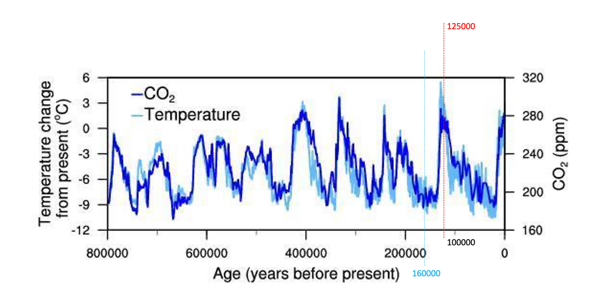Temperature change
from present (°C)
99
3
0369
-9
-12
-CO₂
-Temperature
www
800000
600000
400000
200000
Age (years before present) 160000
125000
100000
0
320
280
240
200
160
CO2 (ppm)