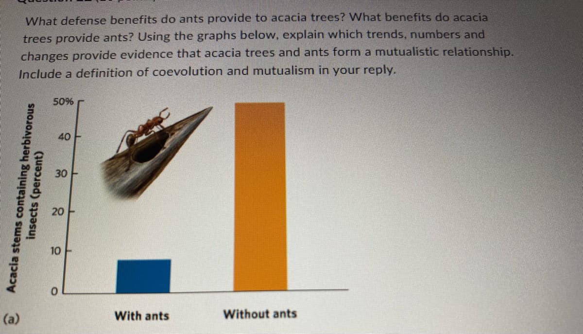 What defense benefits do ants provide to acacia trees? What benefits do acacia
trees provide ants? Using the graphs below, explain which trends, numbers and
changes provide evidence that acacia trees and ants form a mutualistic relationship.
Include a definition of coevolution and mutualism in your reply.
(a)
Acacia stems containing herbivorous
insects (percent)
50%
40
30
20
10
0
With ants
Without ants