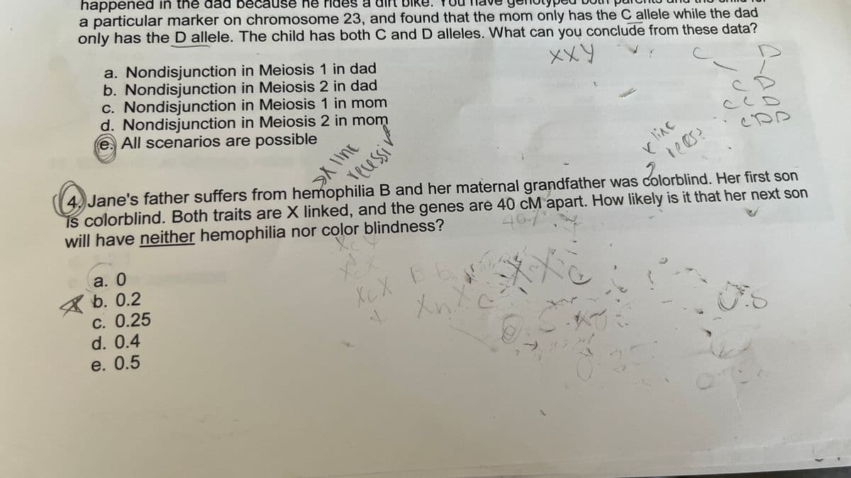 happened in the dad because he rides a dirt
a particular marker on chromosome 23, and found that the mom only has the C allele while the dad
only has the D allele. The child has both C and D alleles. What can you conclude from these data?
хху
a. Nondisjunction in Meiosis 1 in dad
b. Nondisjunction in Meiosis 2 in dad
c. Nondisjunction in Meiosis 1 in mom
d. Nondisjunction in Meiosis 2 in mom
e. All scenarios are possible
CRA
4, Jane's father suffers from hemophilia B and her maternal grandfather was colorblind. Her first son
is colorblind. Both traits are X linked, and the genes are 40 cM apart. How likely is it that her next son
will have neither hemophilia nor color blindness?
40-7
a. 0
b. 0.2
Xex
c. 0.25
хсх вы
1
d. 0.4
S
e. 0.5
»X line
recessi
Xv
+
+
8.40
37
Kline
reces?
uy
ада
ссо
01