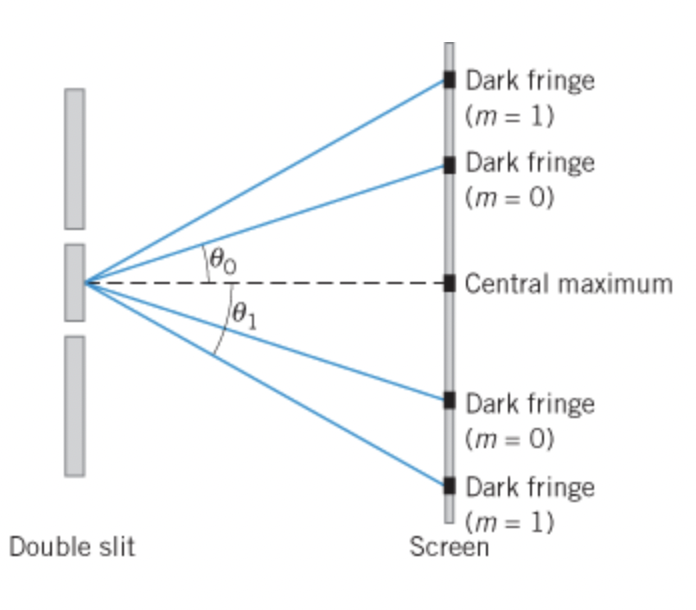 Dark fringe
(m = 1)
%3D
Dark fringe
(m = 0)
%3D
Central maximum
Dark fringe
(m = 0)
%3D
Dark fringe
(m = 1)
Screen
Double slit
