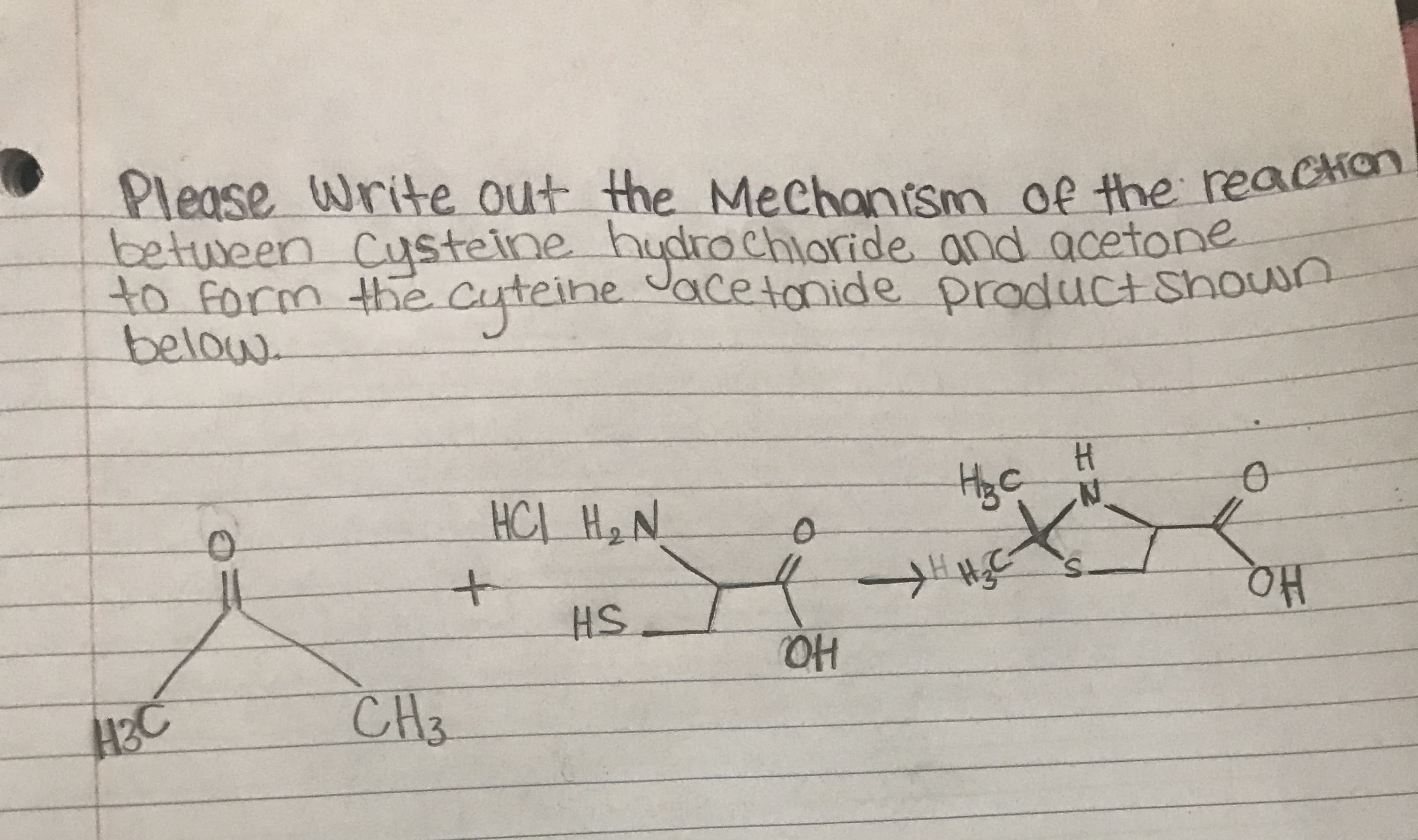 Please Write out the Mechanism of the reachon
betuween Custeine hudrochloride and acetone
to form the Cuteine Jacetonide product Shoun
below
H
HCL H2N
++
HS
CH3
H2C
ON

