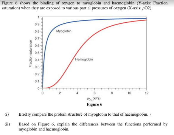 Figure 6 shows the binding of oxygen to myoglobin and haemoglobin (Y-axis: Fraction
saturation) when they are exposed to various partial pressures of oxygen (X-axis: pO2).
0.9
0.8
Myoglobin
0.7
0.6
0.5
0.4
Hemoglobin
0.3
0.2
0.1
2
10
12
Po, (kPa)
Figure 6
(i)
Briefly compare the protein structure of myoglobin to that of haemoglobin.
(ii)
Based on Figure 6, explain the differences between the functions performed by
myoglobin and haemoglobin.
Fraction saturation
