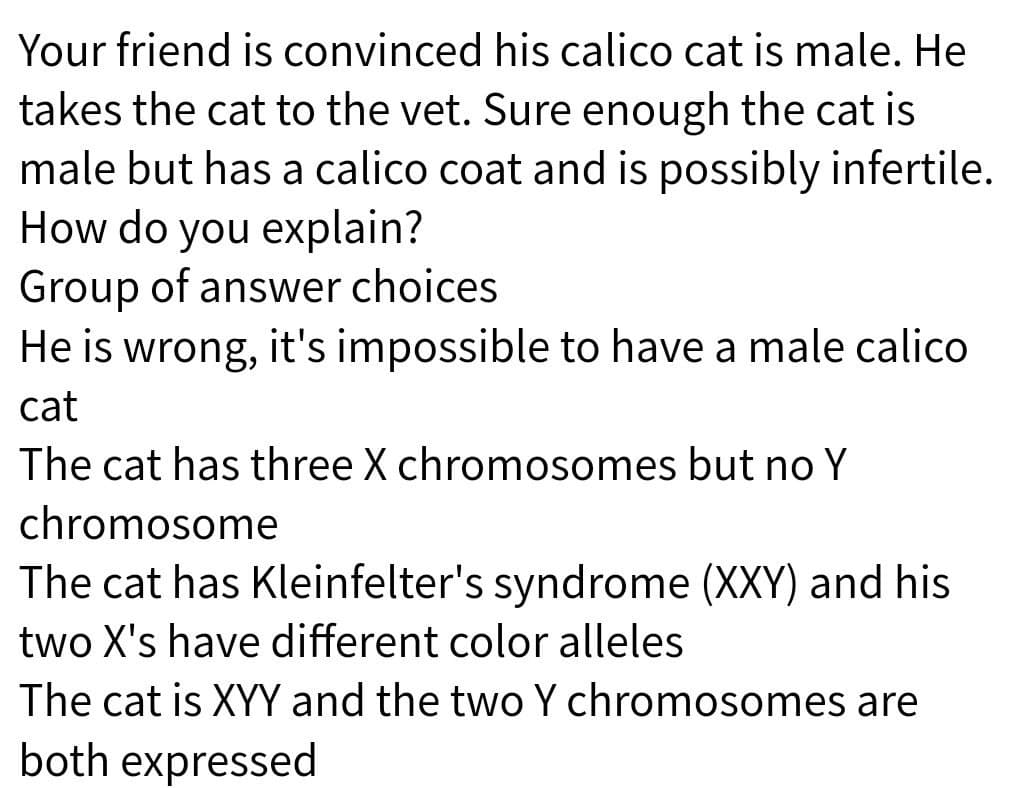 Your friend is convinced his calico cat is male. He
takes the cat to the vet. Sure enough the cat is
male but has a calico coat and is possibly infertile.
How do you explain?
Group of answer choices
He is wrong, it's impossible to have a male calico
cat
The cat has three X chromosomes but no Y
chromosome
The cat has Kleinfelter's syndrome (XXY) and his
two X's have different color alleles
The cat is XYY and the two Y chromosomes are
both expressed
