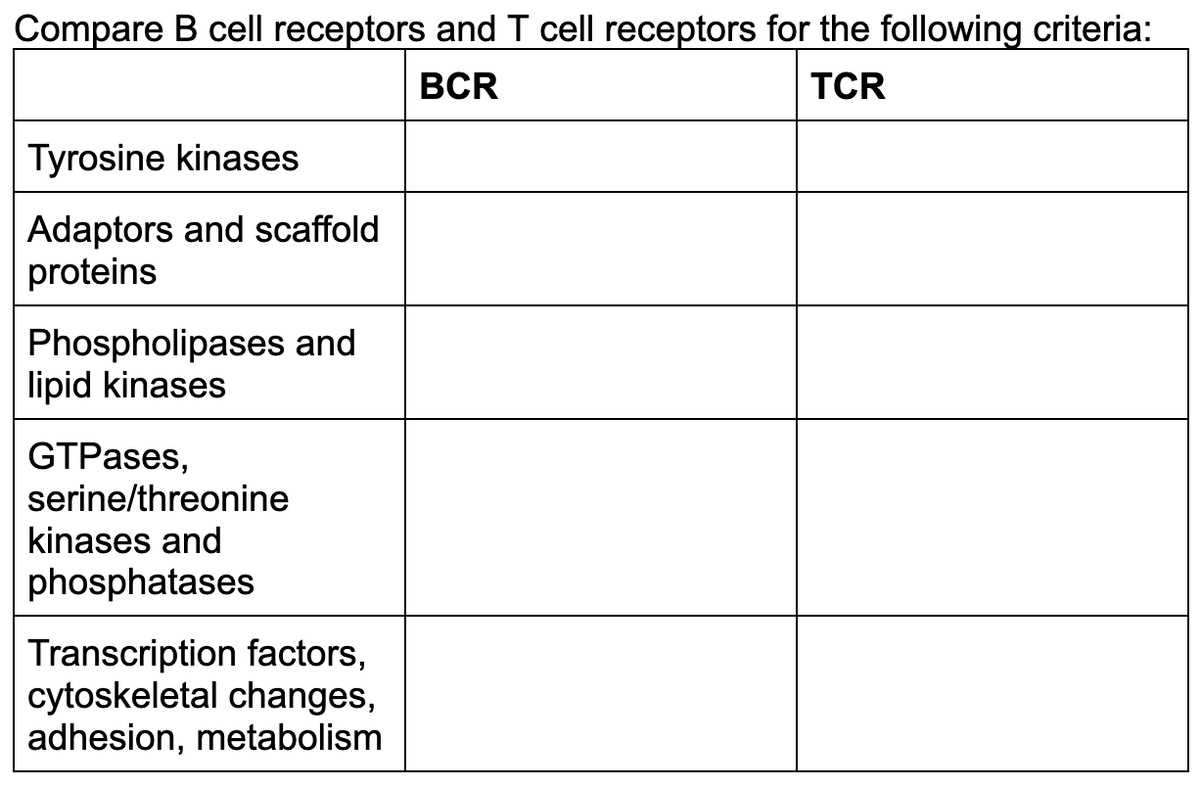 Compare B cell receptors and T cell receptors for the following criteria:
BCR
TCR
Tyrosine kinases
Adaptors and scaffold
proteins
Phospholipases and
lipid kinases
GTPases,
serine/threonine
kinases and
phosphatases
Transcription factors,
cytoskeletal changes,
adhesion, metabolism
