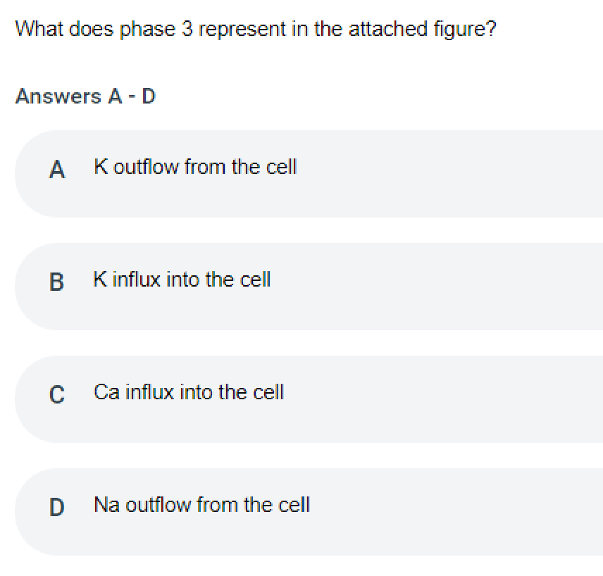What does phase 3 represent in the attached figure?
Answers A -D
A Koutflow from the cell
B Kinflux into the cell
Ca influx into the cell
D Na outflow from the cell
