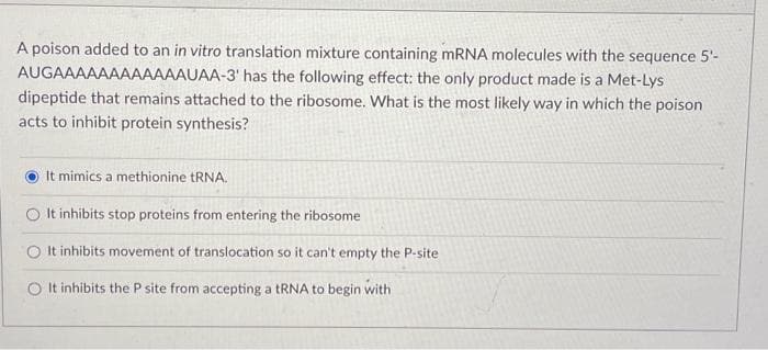 A poison added to an in vitro translation mixture containing mRNA molecules with the sequence 5'-
AUGAAAAAAAAAAAAUAA-3' has the following effect: the only product made is a Met-Lys
dipeptide that remains attached to the ribosome. What is the most likely way in which the poison
acts to inhibit protein synthesis?
It mimics a methionine tRNA.
O It inhibits stop proteins from entering the ribosome
O It inhibits movement of translocation so it can't empty the P-site
O It inhibits the P site from accepting a tRNA to begin with