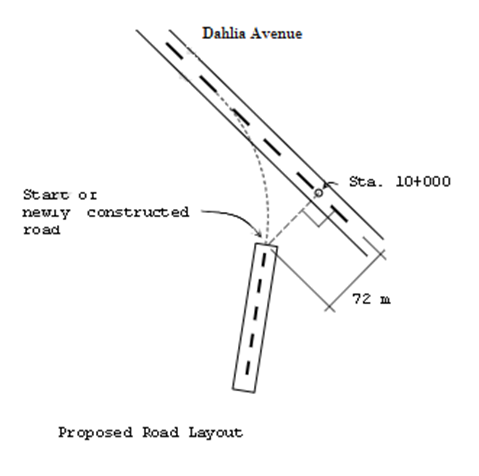 Start or
newly constructed
road
Dahlia Avenue
Proposed Road Layout
Sta. 10+000
72 m