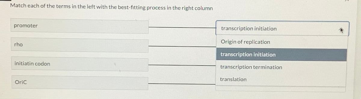 Match each of the terms in the left with the best-fitting process in the right column
promoter
rho
initiatin codon
Oric
transcription initiation
Origin of replication
transcription initiation
transcription termination
translation