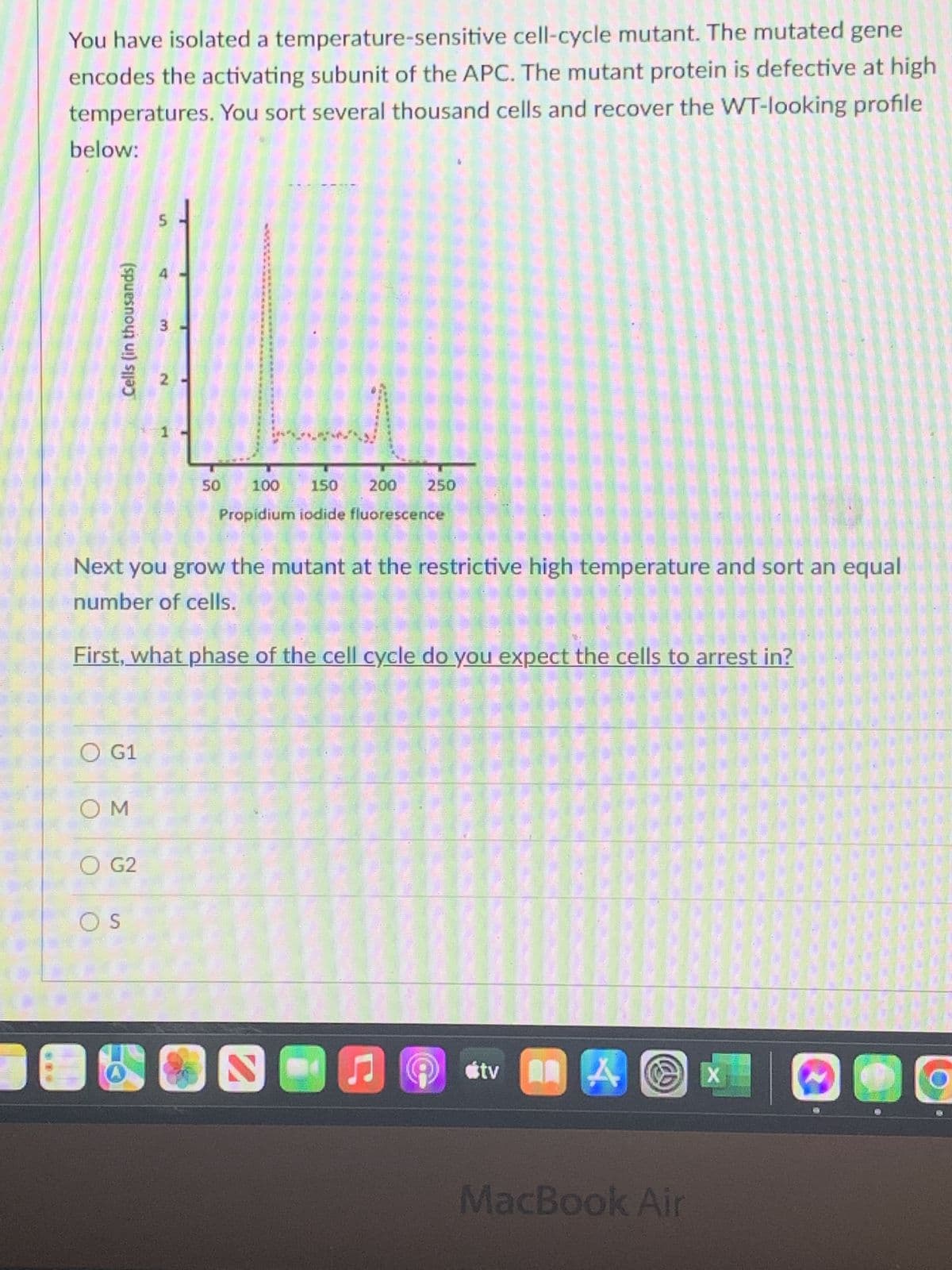 You have isolated a temperature-sensitive cell-cycle mutant. The mutated gene
encodes the activating subunit of the APC. The mutant protein is defective at high
temperatures. You sort several thousand cells and recover the WT-looking profile
below:
Cells (in thousands)
O G1
OM
O G2
OS
E
5
Next you grow the mutant at the restrictive high temperature and sort an equal
number of cells.
First, what phase of the cell cycle do you expect the cells to arrest in?
3
2
50
100
150 200⁰ 250
Propidium iodide fluorescence
♫
#tv
A X
MacBook Air