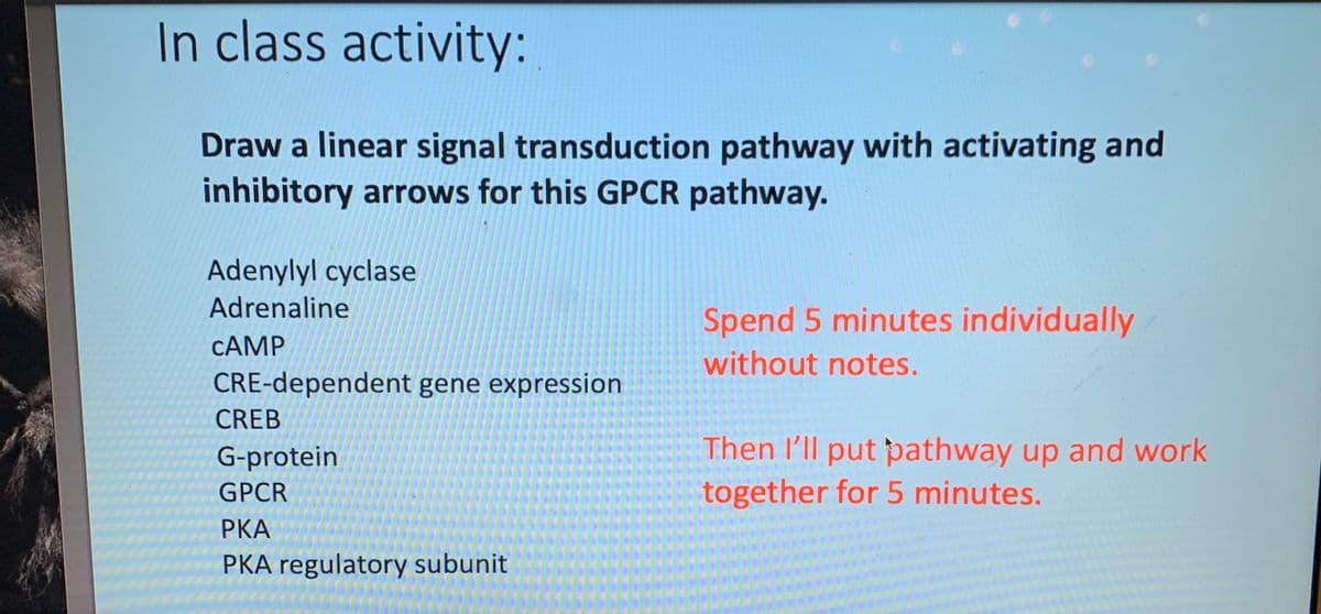In class activity:
Draw a linear signal transduction pathway with activating and
inhibitory arrows for this GPCR pathway.
Adenylyl cyclase
Adrenaline
CAMP
CRE-dependent gene expression
CREB
G-protein
GPCR
PKA
PKA regulatory subunit
Spend 5 minutes individually
without notes.
Then I'll put pathway up and work
together for 5 minutes.