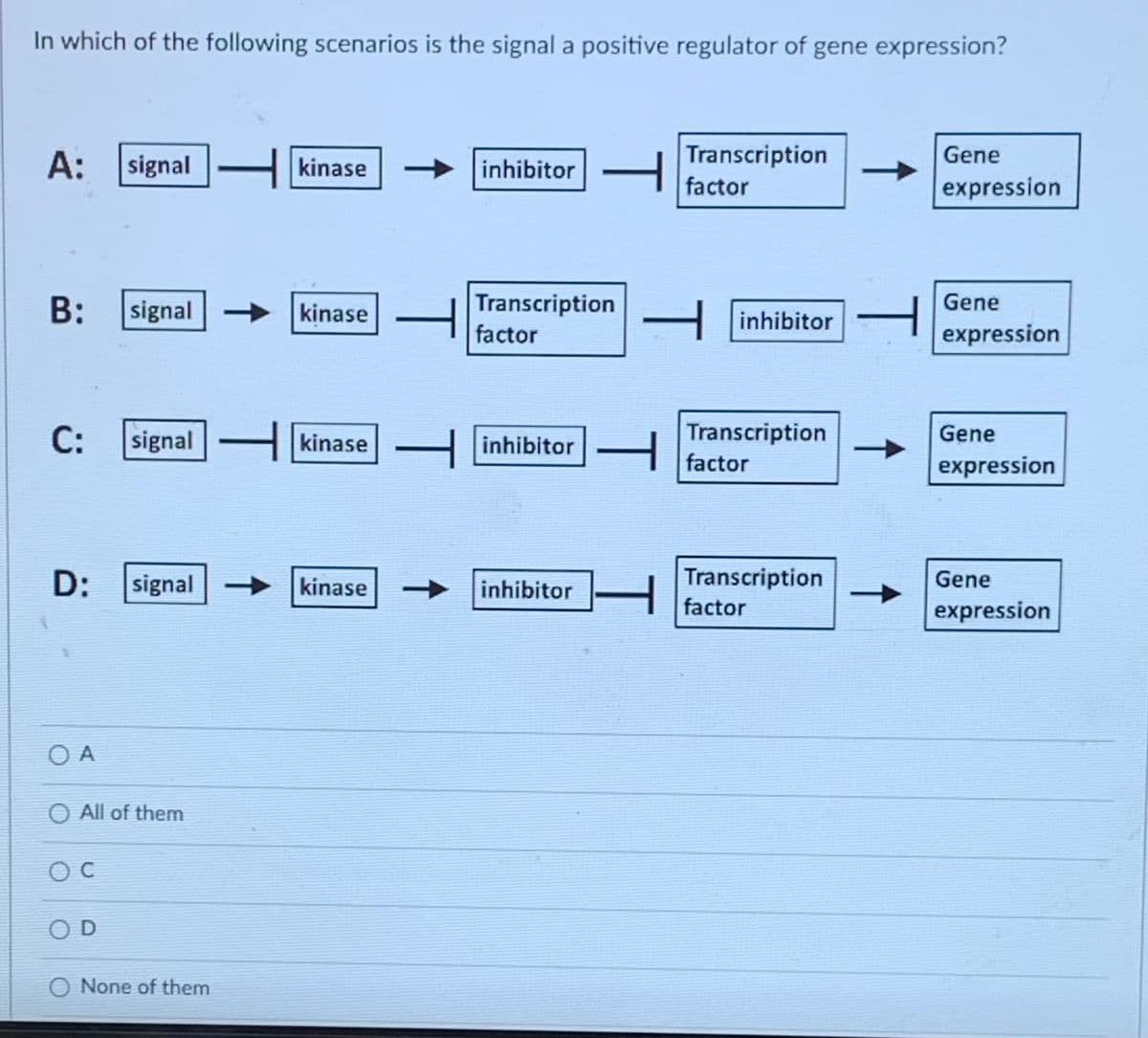 In which of the following scenarios is the signal a positive regulator of gene expression?
A:
B: signal
D:
C: signal kinase
OA
signal kinase
OC
O All of them
OD
signal
O None of them
-
kinase -
➜
kinase
inhibitor — factor
Transcription
factor
inhibitor
Transcription
H inhibitor
Transcription
factor
- fa
inhibitor H
Transcription
factor
Gene
expression
Gene
expression
Gene
expression
Gene
expression