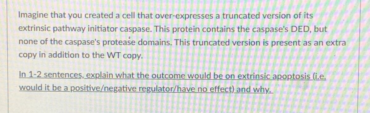 Imagine that you created a cell that over-expresses a truncated version of its
extrinsic pathway initiator caspase. This protein contains the caspase's DED, but
none of the caspase's protease domains. This truncated version is present as an extra
copy in addition to the WT copy.
In 1-2 sentences, explain what the outcome would be on extrinsic apoptosis (i.e.
would it be a positive/negative regulator/have no effect) and why.