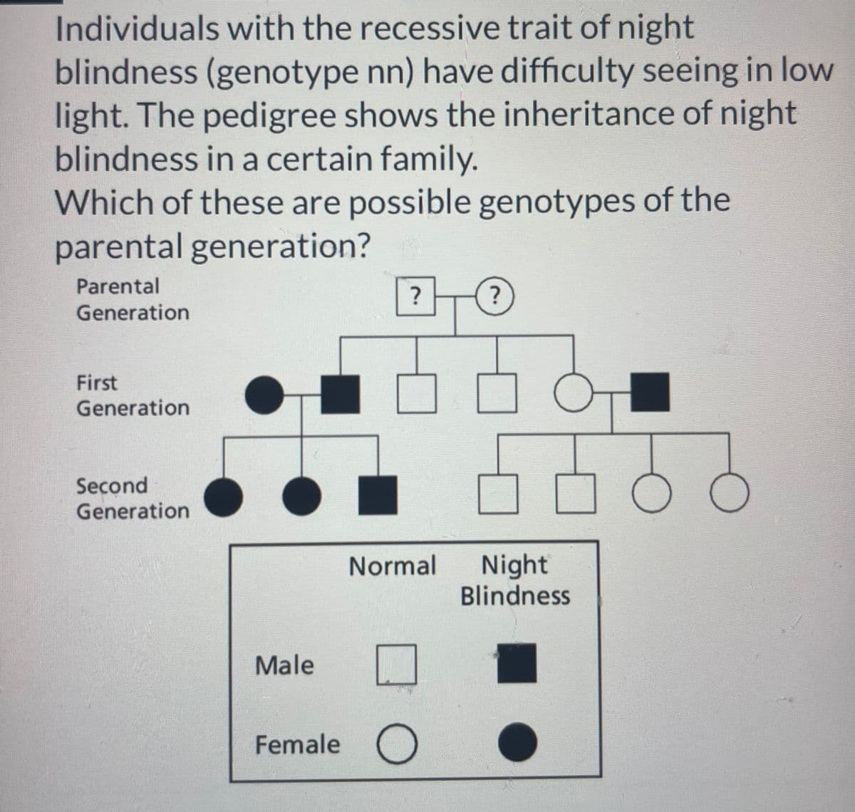 Individuals with the recessive trait of night
blindness (genotype nn) have difficulty seeing in low
light. The pedigree shows the inheritance of night
blindness in a certain family.
Which of these are possible genotypes of the
parental generation?
Parental
Generation
First
Generation
Second
Generation
Male
?
?
Normal Night
Blindness
Female O
