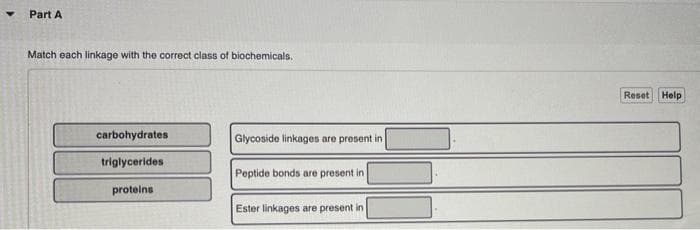 Part A
Match each linkage with the correct class of blochemicals.
Reset Help
carbohydrates
Glycoside linkages are present in
triglycerides
Poptide bonds are present in
proteins
Ester linkages are present in
