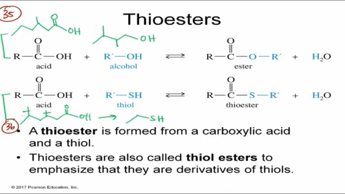 Thioesters
||
-0-R’ +
.R
-C-
OH
R'-OH
H,O
+
acid
alcohol
ester
R
OH
R-SH
R-Ċ-S-R’ + H,O
+
acid
thiol
thioester
ott
36
A thioester is formed from a carboxylic acid
and a thiol.
• Thioesters are also called thiol esters to
emphasize that they are derivatives of thiols.
O 2017 Pearson Education, Inc.
