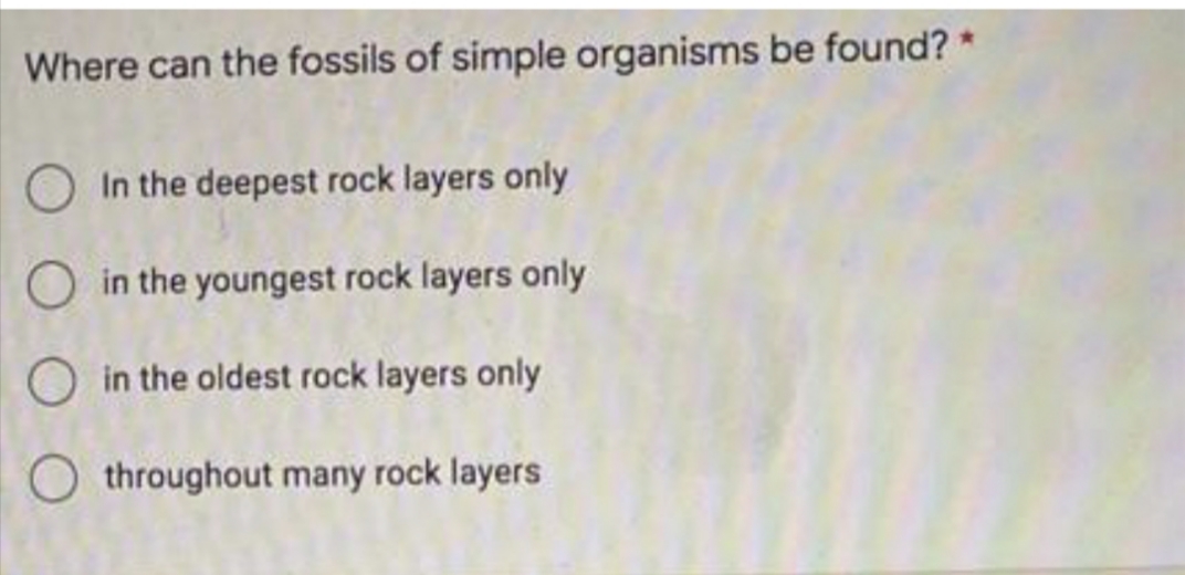 Where can the fossils of simple organisms be found? *
O
O
In the deepest rock layers only
in the youngest rock layers only
in the oldest rock layers only
throughout many rock layers