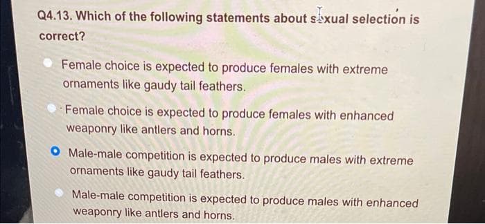 Q4.13. Which of the following statements about sexual selection is
correct?
Female choice is expected to produce females with extreme
ornaments like gaudy tail feathers.
Female choice is expected to produce females with enhanced
weaponry like antlers and horns.
O Male-male competition is expected to produce males with extreme
ornaments like gaudy tail feathers.
Male-male competition is expected to produce males with enhanced
weaponry like antlers and horns.