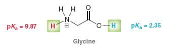 PK₂ = 9.87
H
HH
\/
N
Glycine
O-H
pk, = 2.35