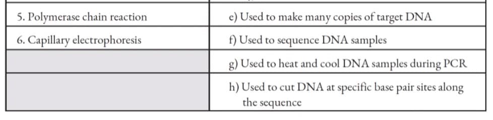 5. Polymerase chain reaction
6. Capillary electrophoresis
e) Used to make many copies of target DNA
f) Used to sequence DNA samples
g) Used to heat and cool DNA samples during PCR
h) Used to cut DNA at specific base pair sites along
the sequence