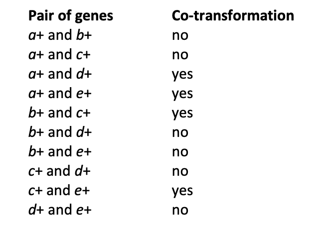 Pair of genes
Co-transformation
a+ and b+
no
a+ and c+
no
a+ and d+
yes
a+ and e+
yes
b+ and c+
yes
b+ and d+
no
b+ and e+
no
C+ and d+
no
C+ and e+
yes
d+ and e+
no
