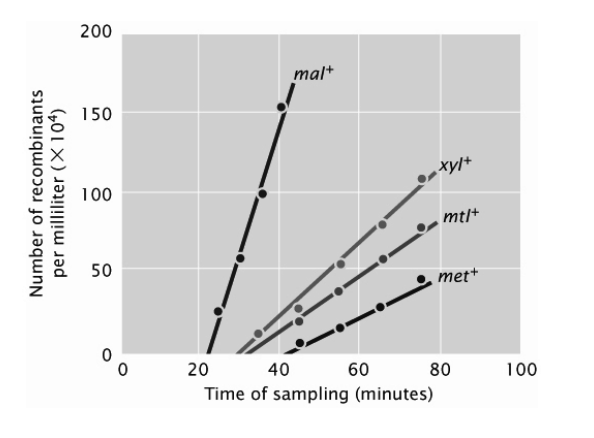 200
mal*
150
xyl+
100
mtl+
50
mett
20
40
60
80
100
Time of sampling (minutes)
Number of recombinants
per milliliter (X104)
