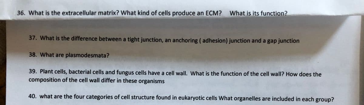 36. What is the extracellular matrix? What kind of cells produce an ECM? What is its function?
37. What is the difference between a tight junction, an anchoring ( adhesion) junction and a gap junction
38. What are plasmodesmata?
39. Plant cells, bacterial cells and fungus cells have a cell wall. What is the function of the cell wall? How does the
composition of the cell wall differ in these organisms
40. what are the four categories of cell structure found in eukaryotic cells What organelles are included in each group?
