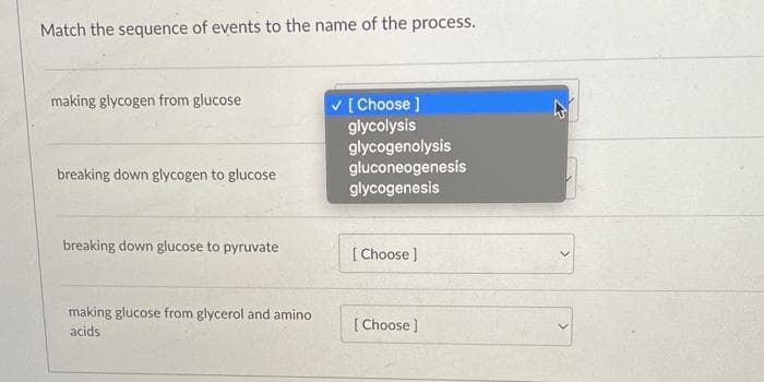 Match the sequence of events to the name of the process.
making glycogen from glucose
breaking down glycogen to glucose
breaking down glucose to pyruvate
making glucose from glycerol and amino.
acids
✓ [Choose ]
glycolysis
glycogenolysis
gluconeogenesis
glycogenesis
[Choose ]
[Choose]