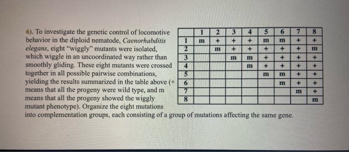 6). To investigate the genetic control of locomotive
behavior in the diploid nematode, Caenorhabditis
elegans, eight "wiggly" mutants were isolated,
which wiggle in an uncoordinated way rather than
smoothly gliding. These eight mutants were crossed
together in all possible pairwise combinations,
yielding the results summarized in the table above (+
means that all the progeny were wild type, and m
means that all the progeny showed the wiggly
mutant phenotype). Organize the eight mutations
into con lementation groups, each consisting of a group of mutations affecting the same gene.
1
2
3
4
5
6
7
8
1
E
N+E
2
3+1
m +
m
4 5
+ m m
E+
+ +
EE
6
++E
E+
+EE
m m
+ +
+ + +
+ +
+ +
m
7 8
++4
∞+E
+E
m
m
++ E