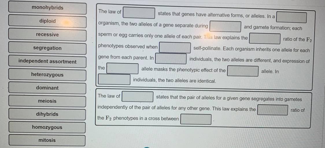 monohybrids
The law of
states that genes have alternative forms, or alleles. In a
diploid
organism, the two alleles of a gene separate during
and gamete formation; each
recessive
sperm or egg carries only one allele of each pair. Tlis law explains the
ratio of the F2
phenotypes observed when
self-pollinate. Each organism inherits one allele for each
segregation
gene from each parent. In
individuals, the two alleles are different, and expression of
independent assortment
the
allele masks the phenotypic effect of the
allele. In
heterozygous
individuals, the two alleles are identical.
dominant
The law of
states that the pair of alleles for a given gene segregates into gametes
meiosis
independently of the pair of alleles for any other gene. This law explains the
ratio of
dihybrids
the F2 phenotypes in a cross between
homozygous
mitosis
