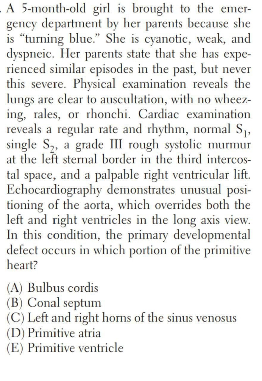 A 5-month-old girl is brought to the emer-
gency department by her parents because she
is “turning blue." She is cyanotic, weak, and
dyspneic. Her parents state that she has expe-
rienced similar episodes in the past, but never
this severe. Physical examination reveals the
lungs are clear to auscultation, with no wheez-
ing, rales, or rhonchi. Cardiac examination
reveals a regular rate and rhythm, normal S1,
single S2, a grade III rough systolic murmur
at the left sternal border in the third intercos-
tal space, and a palpable right ventricular lift.
Echocardiography demonstrates unusual posi-
tioning of the aorta, which overrides both the
left and right ventricles in the long axis view.
In this condition, the primary developmental
defect occurs in which portion of the primitive
heart?
(A) Bulbus cordis
(B) Conal septum
(C) Left and right horns of the sinus venosus
(D) Primitive atria
(E) Primitive ventricle
