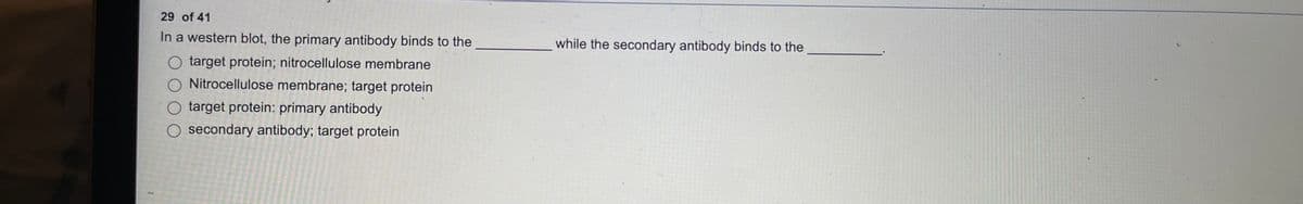 29 of 41
In a western blot, the primary antibody binds to the
while the secondary antibody binds to the
O target protein; nitrocellulose membrane
O Nitrocellulose membrane; target protein
O target protein: primary antibody
O secondary antibody; target protein
