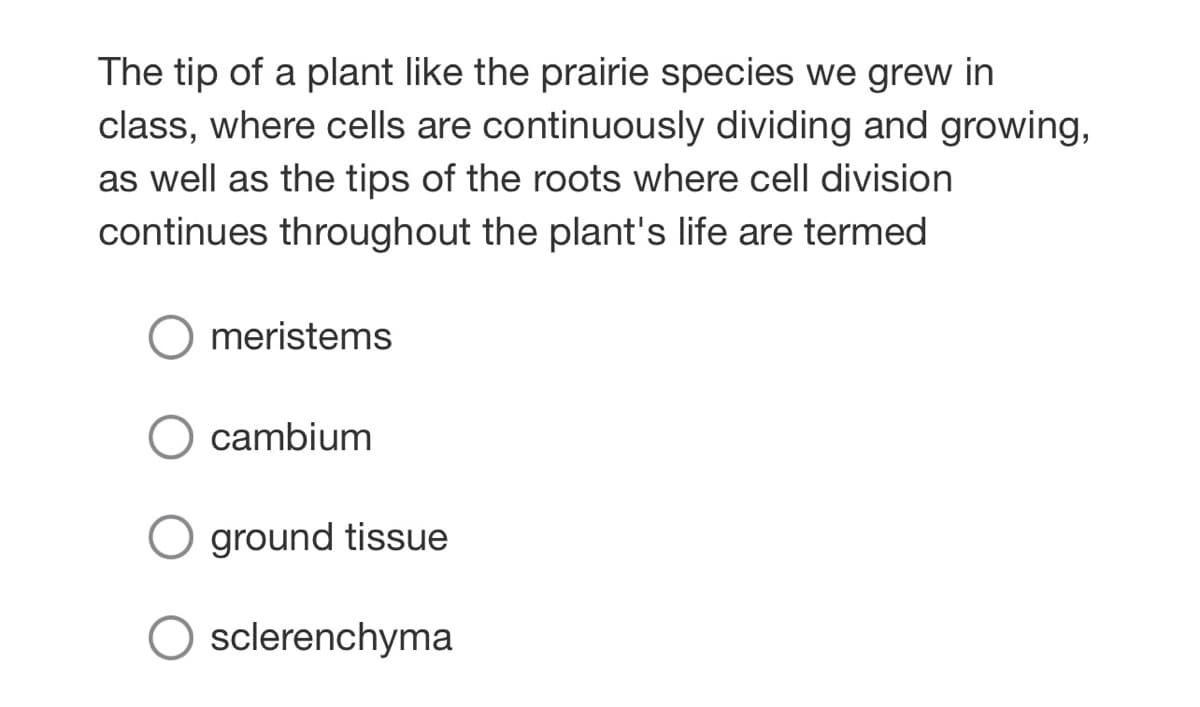 The tip of a plant like the prairie species we grew in
class, where cells are continuously dividing and growing,
as well as the tips of the roots where cell division
continues throughout the plant's life are termed
meristems
cambium
O ground tissue
sclerenchyma
