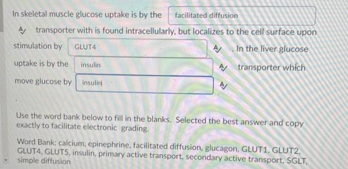 In skeletal muscle glucose uptake is by the
facilitated diffusion
A transporter with is found intracellularly, but localizes to the cell surface upon
stimulation by GLUT4
In the liver glucose
uptake is by the
transporter which
move glucose by insulin
insulin.
A
A/
Use the word bank below to fill in the blanks. Selected the best answer and copy
exactly to facilitate electronic grading.
Word Bank: calcium, epinephrine, facilitated diffusion, glucagon, GLUT1, GLUT2,
GLUT4, GLUT5, insulin, primary active transport, secondary active transport, SGLT,
simple diffusion