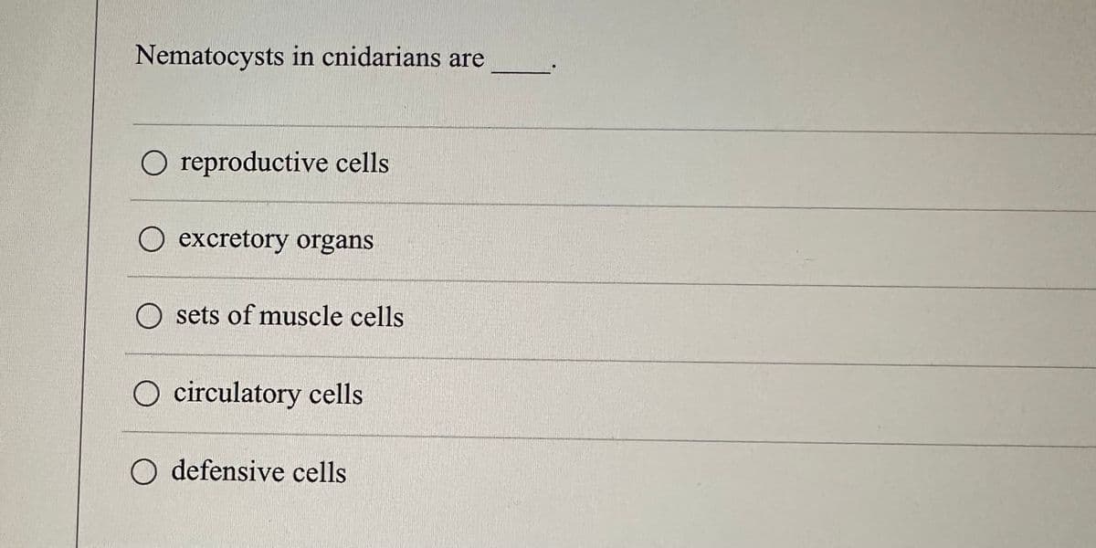 Nematocysts in cnidarians are
O reproductive cells
excretory organs
Osets of muscle cells
O circulatory cells
O defensive cells