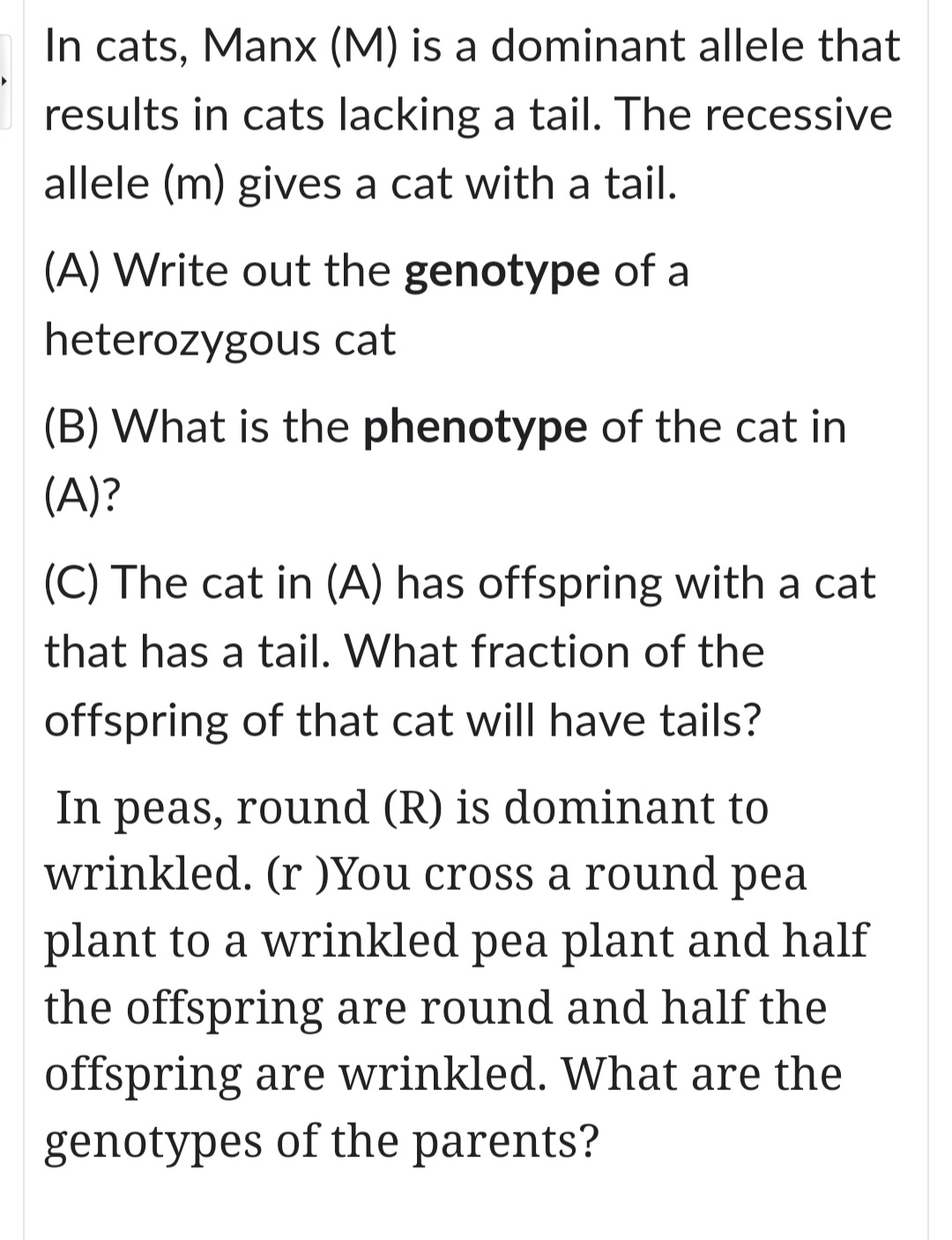 In cats, Manx (M) is a dominant allele that
results in cats lacking a tail. The recessive
allele (m) gives a cat with a tail.
(A) Write out the genotype of a
heterozygous cat
(B) What is the phenotype of the cat in
(A)?
(C) The cat in (A) has offspring with a cat
that has a tail. What fraction of the
offspring of that cat will have tails?
In peas, round (R) is dominant to
wrinkled. (r )You cross a round pea
plant to a wrinkled pea plant and half
the offspring are round and half the
offspring are wrinkled. What are the
genotypes of the parents?