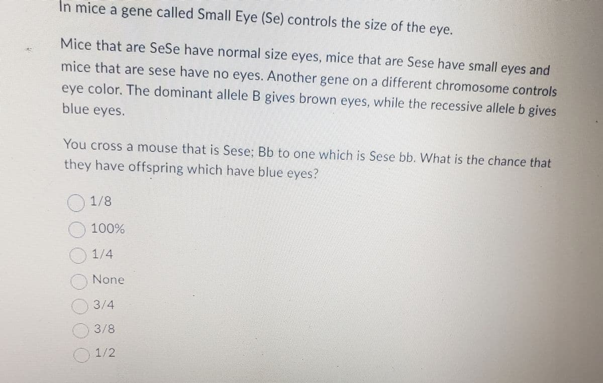 In mice a gene called Small Eye (Se) controls the size of the eye.
Mice that are SeSe have normal size eyes, mice that are Sese have small eyes and
mice that are sese have no eyes. Another gene on a different chromosome controls
eye color. The dominant allele B gives brown eyes, while the recessive allele b gives
blue eyes.
You cross a mouse that is Sese: Bb to one which is Sese bb. What is the chance that
they have offspring which have blue eyes?
1/8
100%
1/4
None
3/4
3/8
1/2