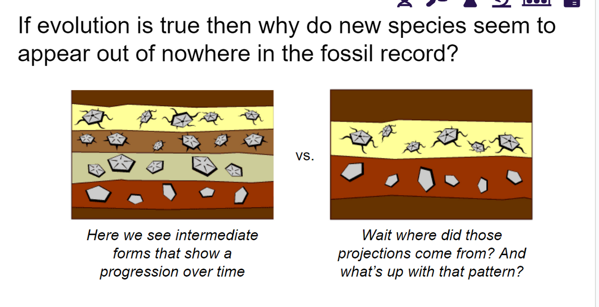 If evolution is true then why do new species seem to
appear out of nowhere in the fossil record?
Here we see intermediate
forms that show a
progression over time
VS.
Wait where did those
projections come from? And
what's up with that pattern?