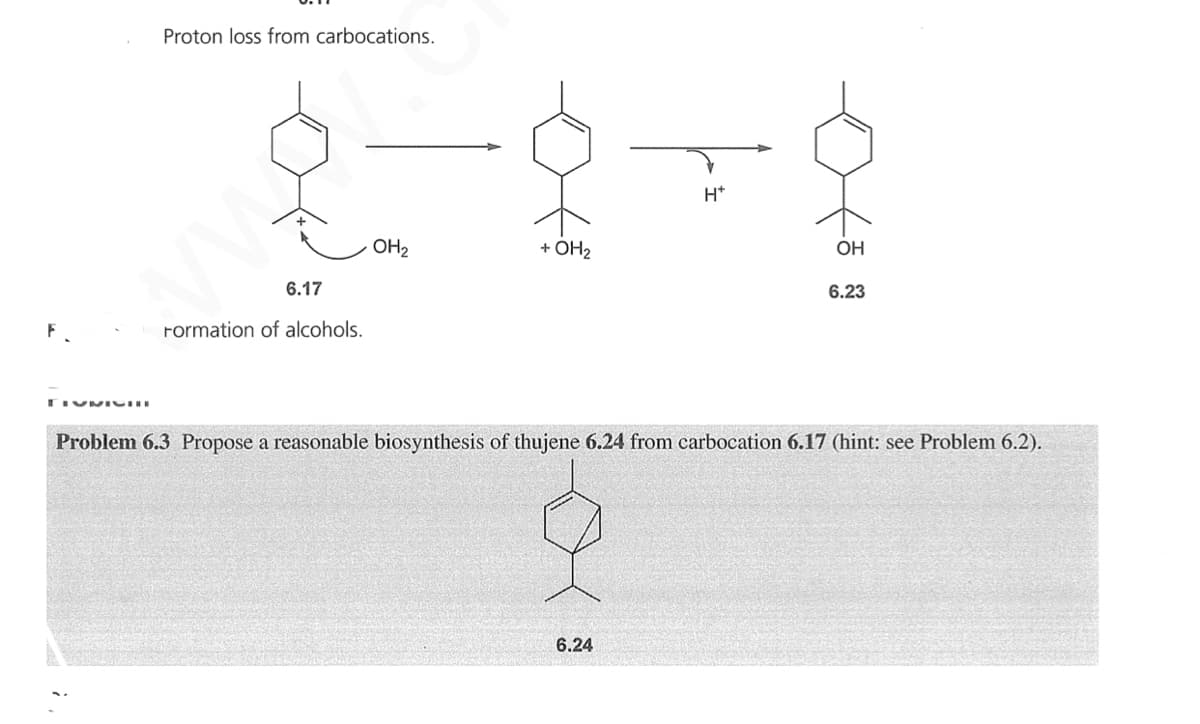Proton loss from carbocations.
H*
OH2
+ OH2
OH
6.23
6.17
Formation of alcohols.
Problem 6.3 Propose a reasonable biosynthesis of thujene 6.24 from carbocation 6.17 (hint: see Problem 6.2).
6.24
