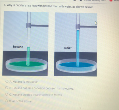 5. Why is capillary rise less with hexane than with water, as shown below?
hexane
water
O A Hexane is less polar
OB. Hexane has less cohesion between its molecules.
OC. Hexane creates weaker adhesive forces
OD All of the above
