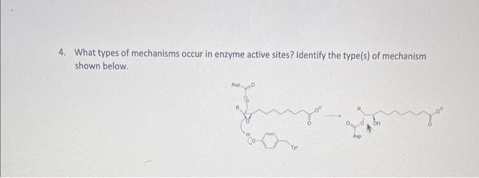 4. What types of mechanisms occur in enzyme active sites? Identify the type(s) of mechanism
shown below.
Asp.
Alp