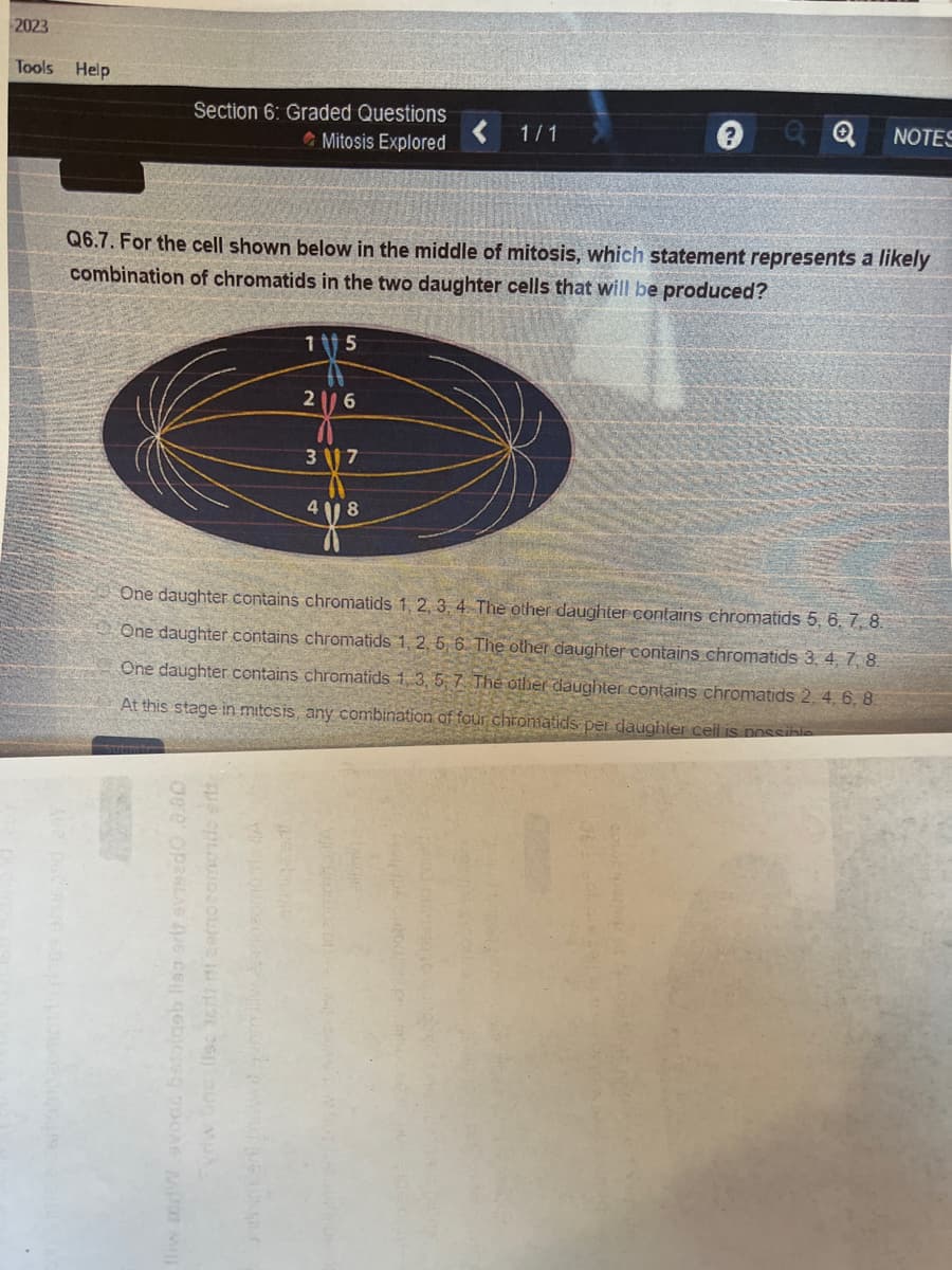 2023
Tools Help
Section 6: Graded Questions
Mitosis Explored
dere OPGLAS que con esq poA MP3 M
Q6.7. For the cell shown below in the middle of mitosis, which statement represents a likely
combination of chromatids in the two daughter cells that will be produced?
vriw bnc (s: terini carnocomendo ent
15
y twork ad que r
21/6
317
1/1
4118
One daughter contains chromatids 1, 2, 3, 4. The other daughter contains chromatids 5, 6, 7, 8.
One daughter contains chromatids 1, 2, 5, 6. The other daughter contains chromatids 3, 4, 7, 8.
One daughter contains chromatids 1, 3, 5, 7 The other daughter contains chromatids 2, 4, 6, 8.
At this stage in mitosis, any combination of four chromatids per daughter cell is possible
Q Q
NOTES