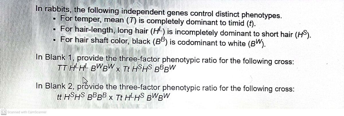 In rabbits, the following independent genes control distinct phenotypes.
For temper, mean (T) is completely dominant to timid (t).
For hair-length, long hair (H-) is incompletely dominant to short hair (HS).
For hair shaft color, black (BB) is codominant to white (BW).
In Blank 1, provide the three-factor phenotypic ratio for the following cross:
TT H-H BWBWX Tt HSHS BBBW
In Blank 2, provide the three-factor phenotypic ratio for the following cross:
tt HSHS BBBB x Tt H-HS BWBW
CS Scanned with CamScanner
