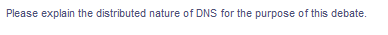 Please explain the distributed nature of DNS for the purpose of this debate.