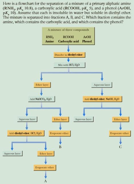 Here is a flowchart for the separation of a mixture of a primary aliphatic amine
(RNH, pK, 10.8), a carboxylic acid (RCOOH, pK, 5), and a phenol (AROH,
pK, 10). Assume that each is insoluble in water but soluble in diethyl ether.
The mixture is separated into fractions A, B, and C. Which fraction contains the
amine, which contains the carboxylic acid, and which contains the phenol?
A mixture of three compounds
RNH,
Amine Carboxylic acid Phenol
RCOOH
AFOH
Dissolve in diethyl ether
Mix with HCI, HLO
Ether layer
Aqueous layer
Add NafICO, H,O
Add diechyl echer, NaOH, H,0
Aqueous layer
Aqueous layer
Ether laver
Ether layer
Add diethyl ether. HCI, H,0
Evaporate ether
Evaporate ether
B
Aqueonus layer
Ether layer
Evaporate ether
