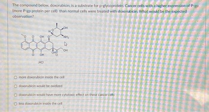 The compound below, doxorubicin, is a substrate for p-glycoprotein. Cancer cells with a higher expression of P-gp
(more P-gp protein per cell) than normal cells were treated with doxorubicin. What would be the expected
observation?
o=
0=
OH O
OH
HCI
OH
-OH
NH₂
&
OH
more doxorubicin inside the cell
doxorubicin would be oxidized
doxorubicin would have more cytotoxic effect on these cancer cells
less doxorubicin inside the cell
