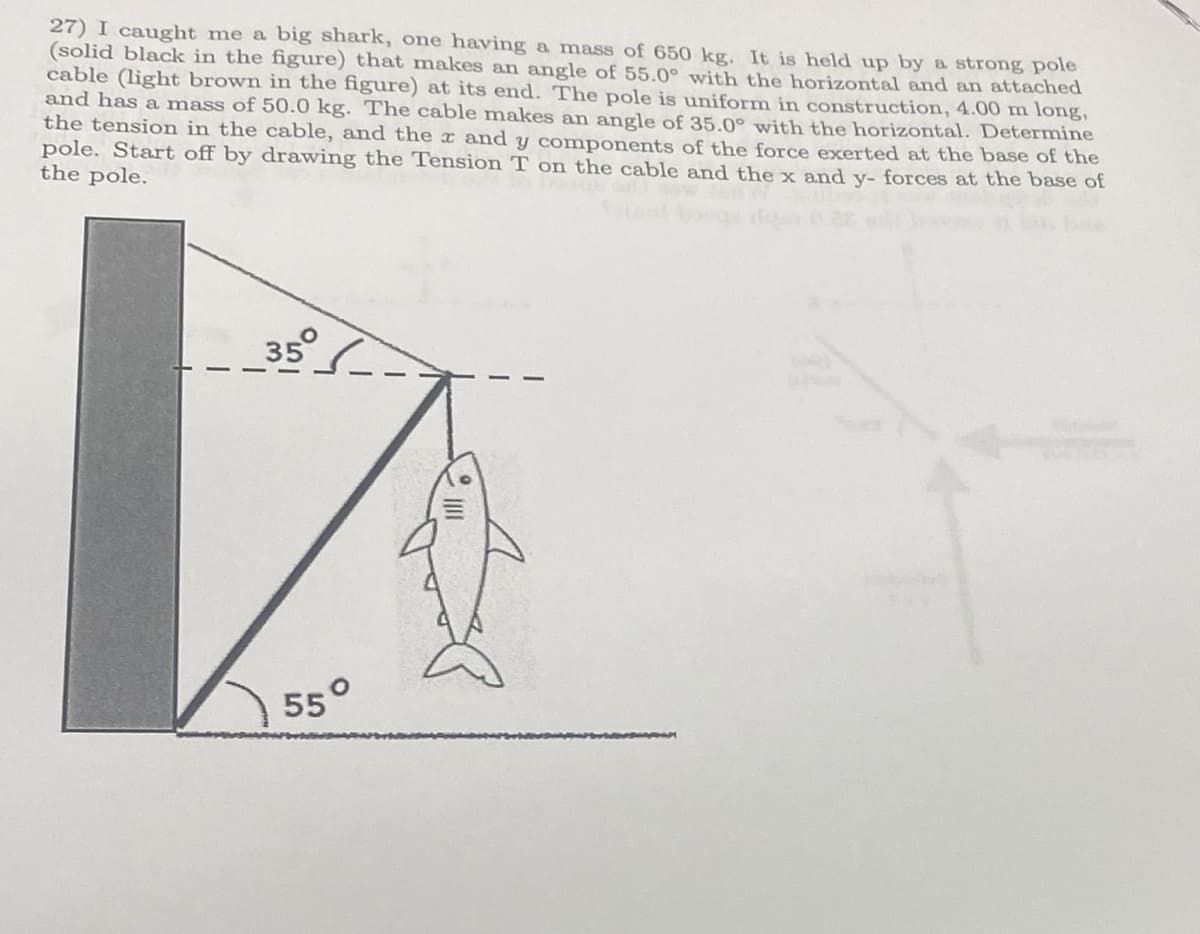 27) I caught me a big shark, one having a mass of 650 kg. It is held up by a strong pole
(solid black in the figure) that makes an angle of 55.0° with the horizontal and an attached
cable (light brown in the figure) at its end. The pole is uniform in construction, 4.00 m long,
and has a mass of 50.0 kg. The cable makes an angle of 35.0° with the horizontal. Determine
the tension in the cable, and the x and y components of the force exerted at the base of the
pole. Start off by drawing the Tension T on the cable and the x and y- forces at the base of
the pole.
35°
55°