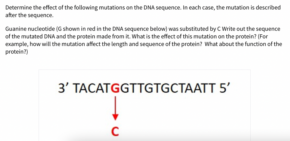 Determine the effect of the following mutations on the DNA sequence. In each case, the mutation is described
after the sequence.
Guanine nucleotide (G shown in red in the DNA sequence below) was substituted by C Write out the sequence
of the mutated DNA and the protein made from it. What is the effect of this mutation on the protein? (For
example, how will the mutation affect the length and sequence of the protein? What about the function of the
protein?)
3' TACATGGTTGTGCTAATT 5'
C
