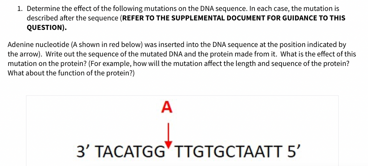 1. Determine the effect of the following mutations on the DNA sequence. In each case, the mutation is
described after the sequence (REFER TO THE SUPPLEMENTAL DOCUMENT FOR GUIDANCE TO THIS
QUESTION).
Adenine nucleotide (A shown in red below) was inserted into the DNA sequence at the position indicated by
the arrow). Write out the sequence of the mutated DNA and the protein made from it. What is the effect of this
mutation on the protein? (For example, how will the mutation affect the length and sequence of the protein?
What about the function of the protein?)
A
3' TACATGG'TTGTGCTAATT 5'
